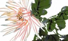 五行穿衣旺运:2023年3月3日穿衣幸运色搭配分享