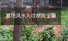 墓地风水入坟断完全篇