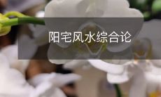 阳宅风水综合论