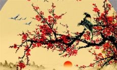 2023年2月28日穿什么颜色衣服好 五行穿衣最佳色