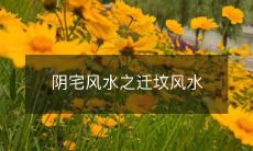 阴宅风水之迁坟风水