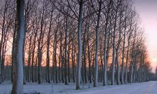 2023年大利东西不利南北 吉凶方位解析