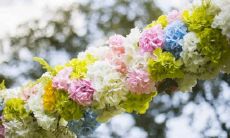 2022年8月16日订亲吉利吗 今日订婚怎么样