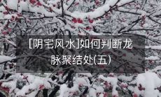 [阴宅风水]如何判断龙脉聚结处(五)