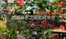 阴阳风水之阳宅风水与人