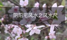 阴阳宅风水之风水尺