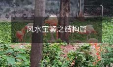 风水宝鉴之结构篇