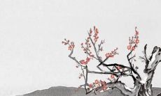 2023年立春之前生的属于哪个属相 立春之后算正月还是腊月