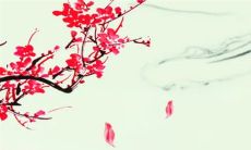 十二生肖小运播报:2023年3月3日特吉生肖一览表