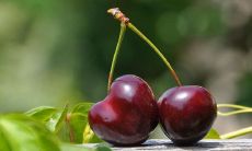 最标准的樱桃嘴 富贵唇形图解