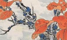 2023年生肖运势：生肖属虎人2月整体运势分析