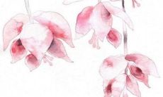 2023年3月2日今日属什么生肖特吉生肖查询