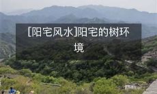 [阳宅风水]阳宅的树环境