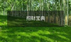 招财宝典