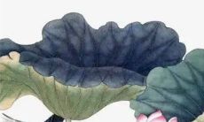 2023年躲太岁九耀星君 2023年躲太岁什么时间