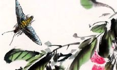 2023年立春哪些属相要躲春 2023年躲春时间和方法