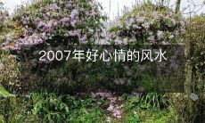 2007年好心情的风水