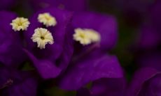 强军飞姓名评分92分