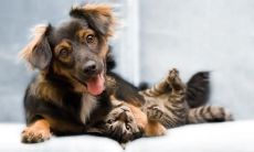 方学敏姓名评分79分