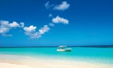 戴宜真姓名评分83分