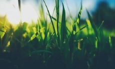 童林方姓名评分77分