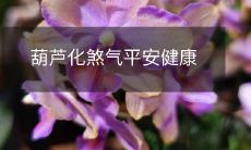 葫芦化煞气平安健康