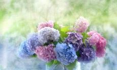 安学聪姓名评分88分