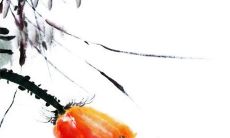 2023年正月二十一出生的男宝宝命好不好 财运亨通富贵逼人