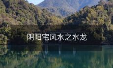 阴阳宅风水之水龙