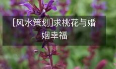 [风水策划]求桃花与婚姻幸福