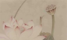 2023年正月十六出生的女宝宝命好吗 天选之子处处机缘