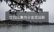 廿四山兼向分金吉凶断