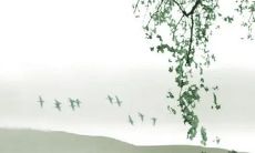 2023兔年正月十七出生的男宝宝命好不好 工作容易误入歧途