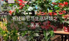 易经阳宅与生活环境之关系