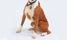 江启刚姓名评分86分