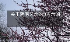 关于阴宅风水的3吉六凶