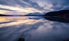 董奕彤姓名评分101分