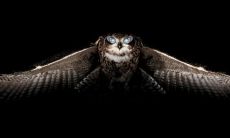 卞明利姓名评分79分