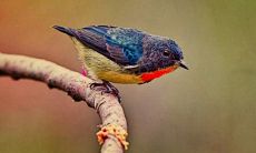 骆文达姓名评分76分