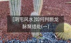 [阴宅风水]如何判断龙脉聚结处(一)