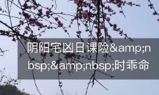 阴阳宅凶日课险&amp;nbsp;&amp;nbsp;时乖命蹇凶祸连