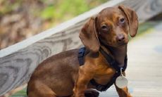 缪克钎姓名评分96分