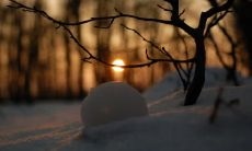 潘润璐姓名评分101分