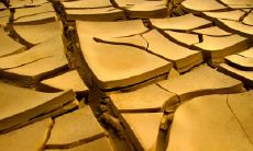 余良开姓名评分70分