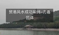 贸易风水成功案例-力嘉团体