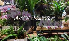 风水的八大富贵格局