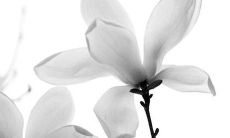 2022年1月30日适合开张吗 开店日子吉利吗