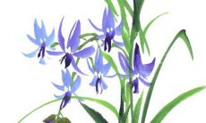 2022年2月3日店铺开业吉利吗 是开张良机吗