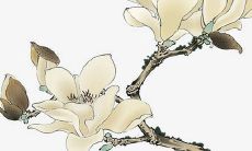 2022年2月2日开张日子吉利吗 当日老黄历查询