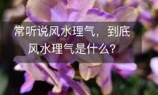 常听说风水理气,到底风水理气是什么?